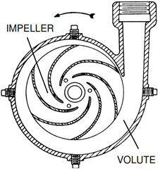 Volute Pump Assembly